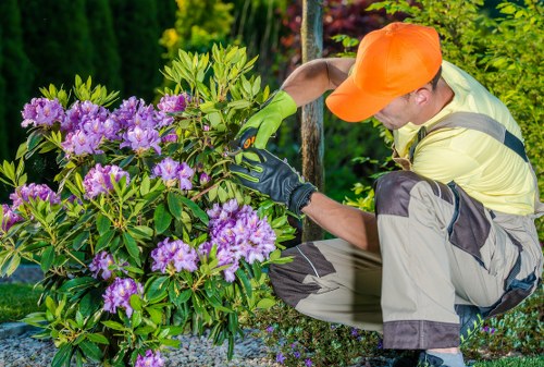 Tree pruning process in a residential area