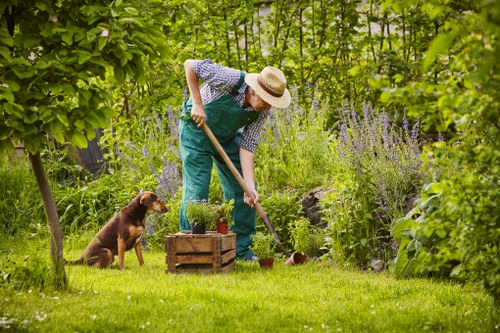Professional landscaper at work in Chigwell