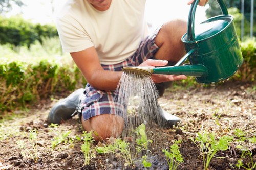 Essential garden tools neatly arranged for maintenance tasks