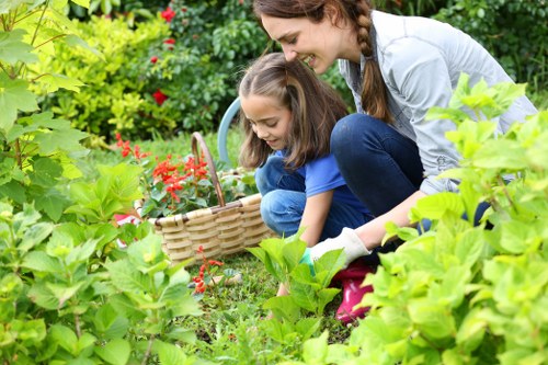 Rich, fertile soil with compost and organic matter in a Chigwell garden
