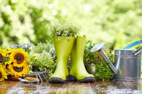 Healthy landscape after professional tree maintenance