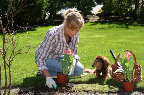 Accessible website content displayed for gardening services
